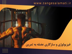 Post site 1237 300x225 - صفحه نخست