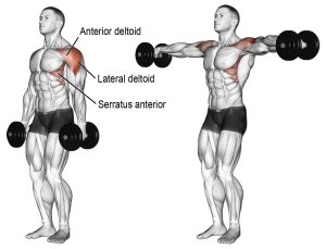 dumbbell lateral raise 300x229 - صفحه نخست