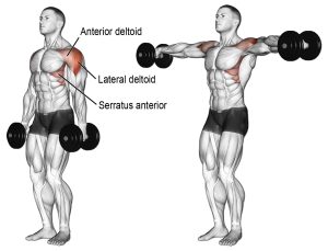 dumbbell lateral raise 300x229 - آشنایی با حرکت نشر از جانب دمبل (بدنسازی 1)