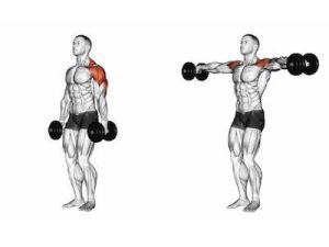 standing dumbbells lateral raise muscles worked 300x225 - آشنایی با حرکت نشر از جانب دمبل (بدنسازی 1)
